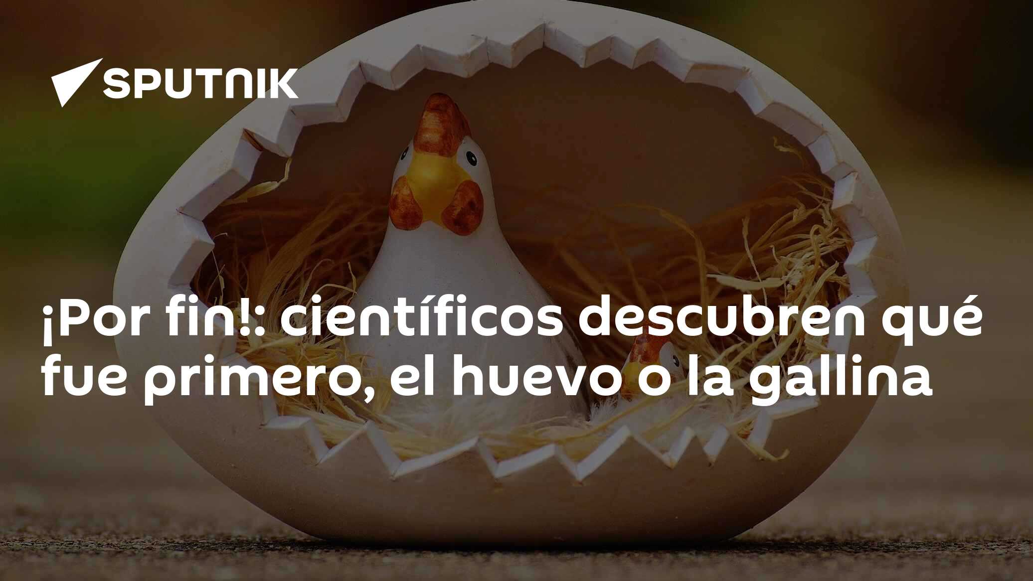 ¡por Fin Científicos Descubren Qué Fue Primero El Huevo O La Gallina