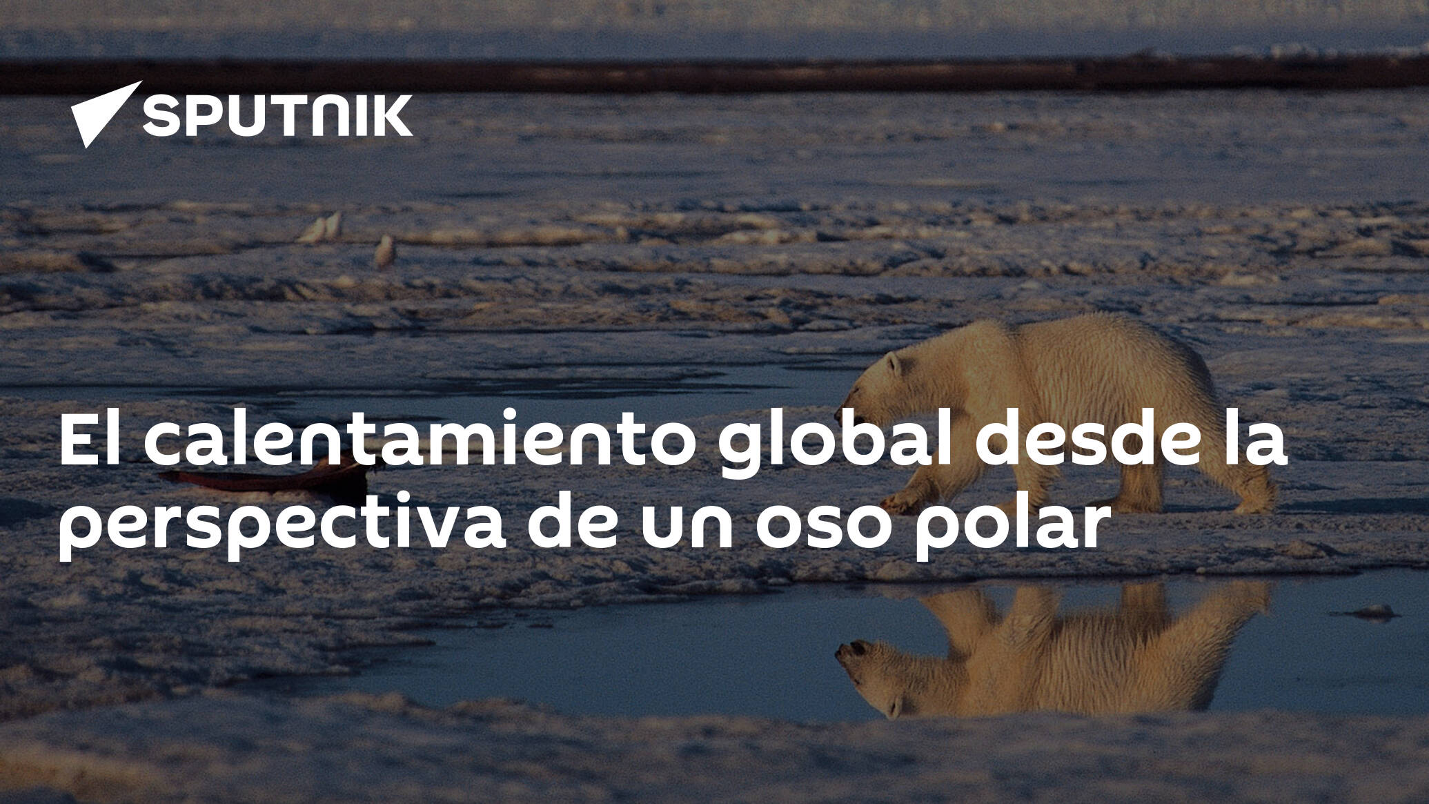 El calentamiento global desde la perspectiva de un oso polar ,  Sputnik Mundo