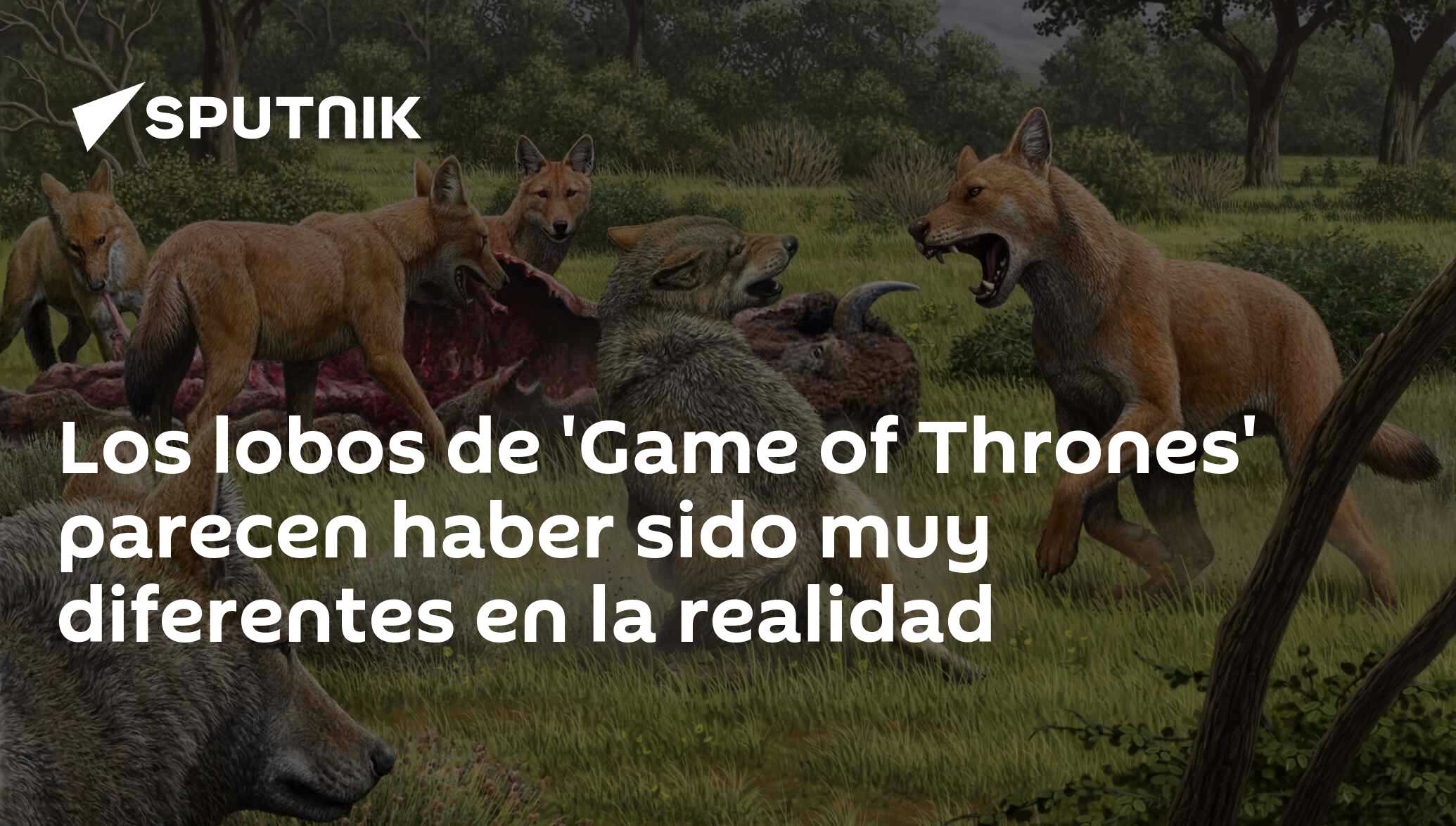 Los lobos de 'Game of Thrones' parecen haber sido muy diferentes en la  realidad , Sputnik Mundo