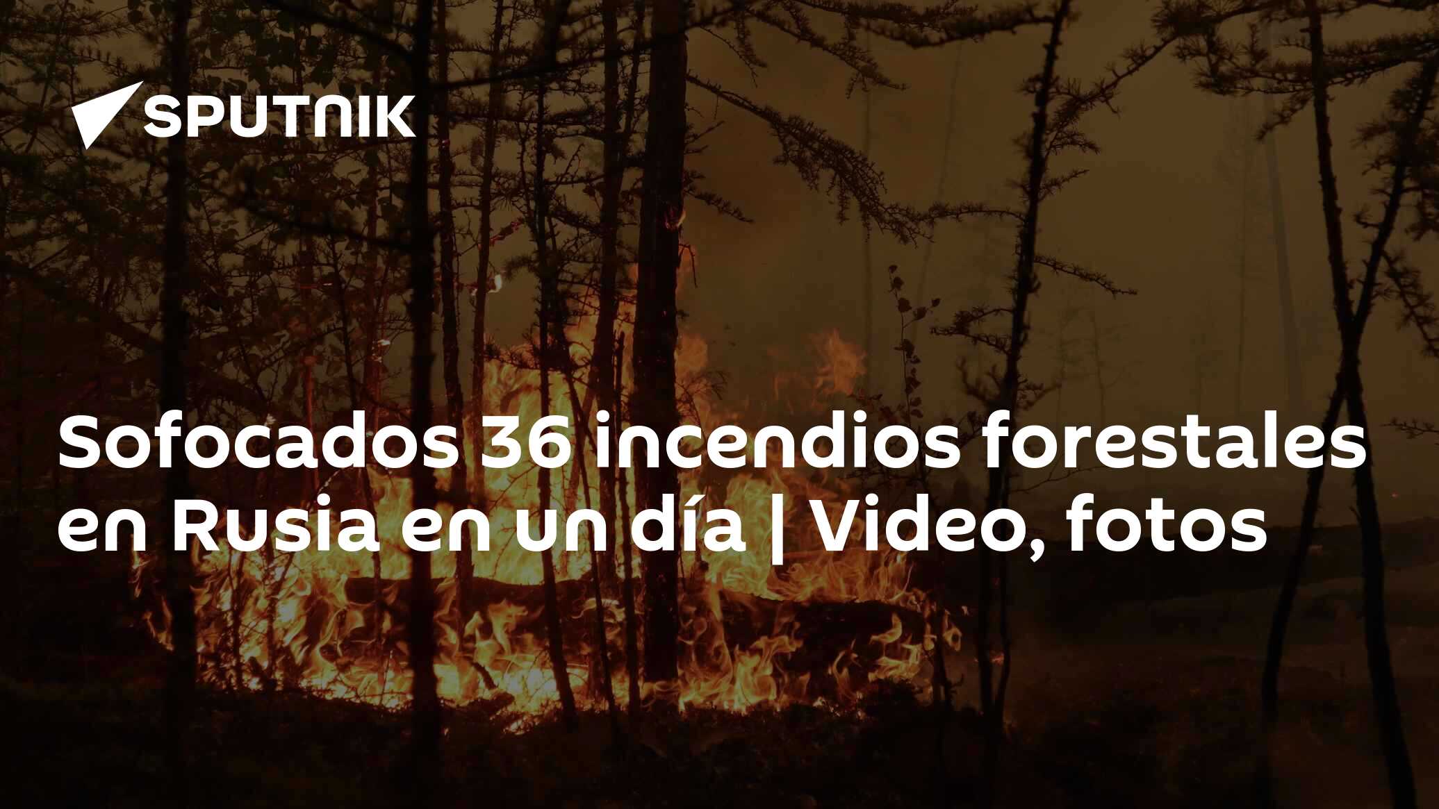 Sofocados 36 Incendios Forestales En Rusia En Un Día Video Fotos