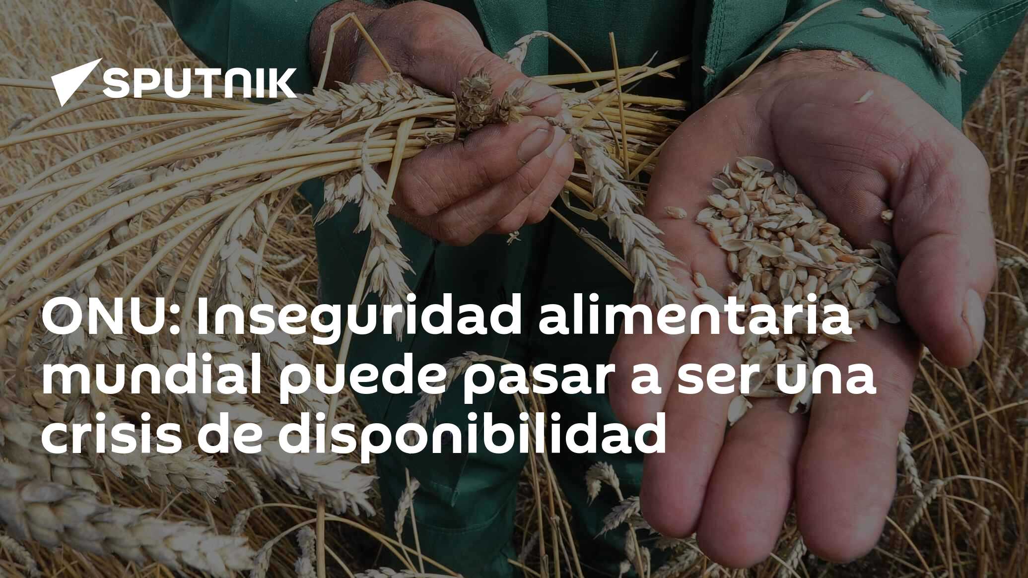 ONU: Inseguridad alimentaria mundial puede pasar a ser una crisis