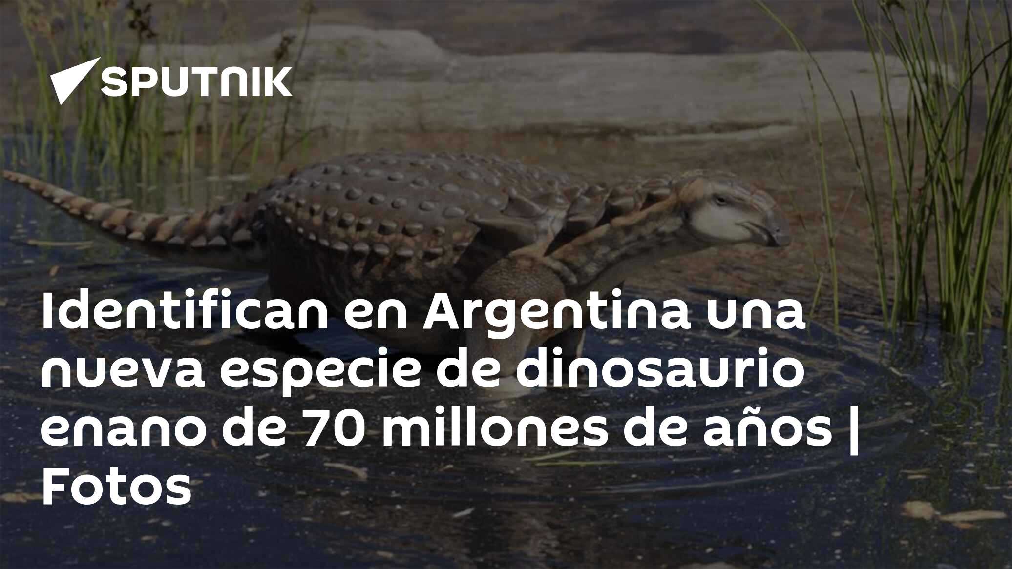 Identifican En Argentina Una Nueva Especie De Dinosaurio Enano De 70 Millones De Años Fotos 4019