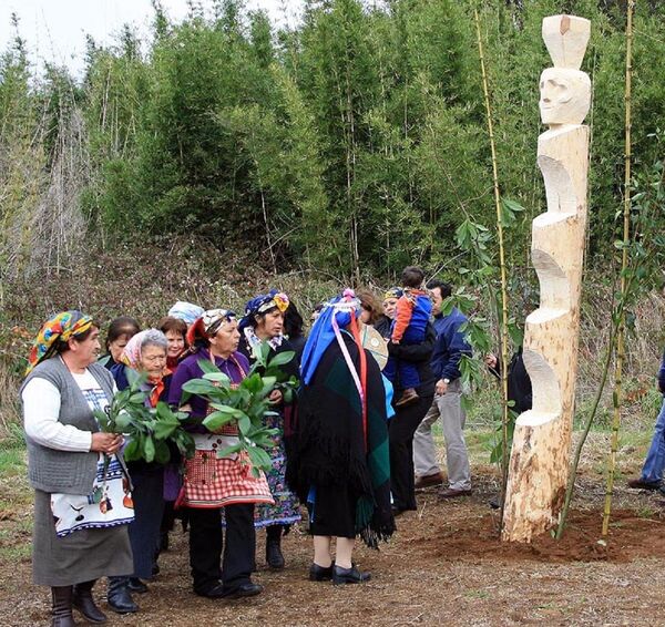 El líder espiritual mapuche que está dispuesto a morir por sus creencias El líder espiritual mapuche que está dispuesto a morir por sus creencias - Sputnik Mundo