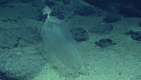 Una bolsa de plástico en el mar - Sputnik Mundo
