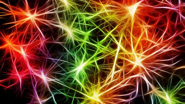 Los neuronas (imagen referencial) - Sputnik Mundo