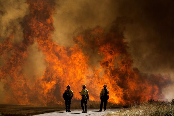 Miles de personas evacuadas: impactantes imágenes de incendios forestales en California - Sputnik Mundo