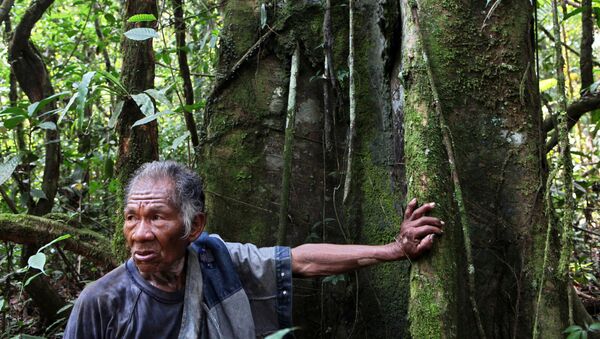 Un hombre de la etnia ticuna en la Amazonía colombiana (imagen referencial) - Sputnik Mundo