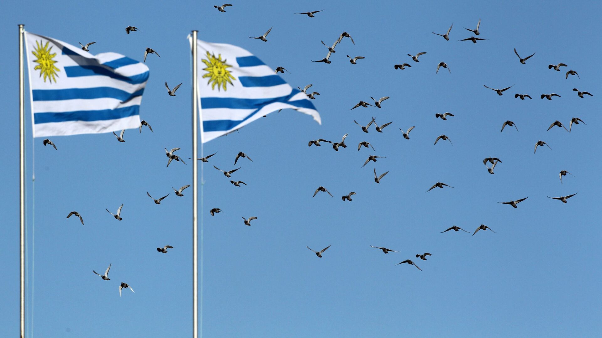 Banderas de Uruguay (Imagen referencial) - Sputnik Mundo, 1920, 08.12.2021
