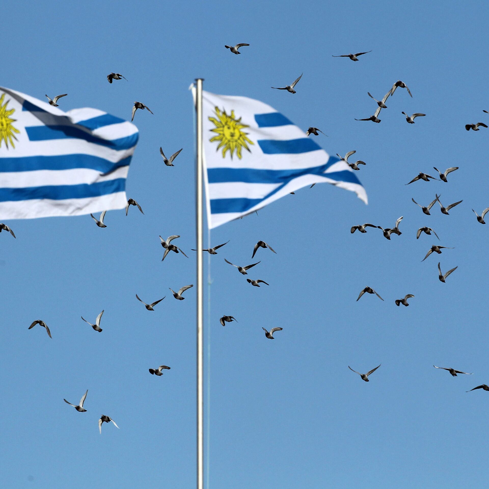 Por qué la fecha de independencia de Uruguay es una mentira? ,  Sputnik Mundo