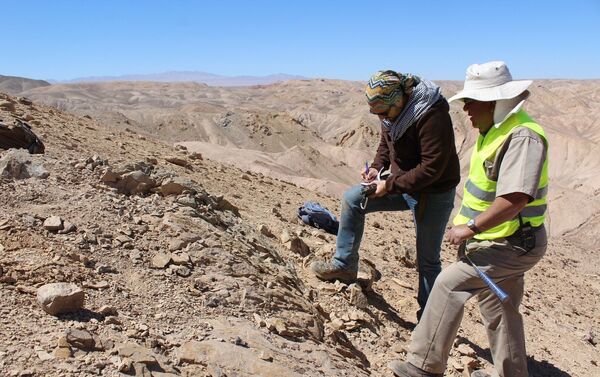 Investigadores de la U. de Chile y del Museo de Historia Natural y Cultural del Desierto de Atacama en el sitio - Sputnik Mundo