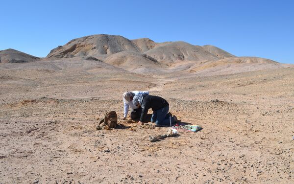 Investigadores de la U. de Chile y del Museo de Historia Natural y Cultural del Desierto de Atacama en el sitio - Sputnik Mundo