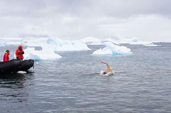 Desde la fría Antártida a las aguas del Titicaca: el nadador del hielo tiene nombre español Desde la fría Antártida a las aguas del Titicaca: el nadador del hielo tiene nombre español - Sputnik Mundo