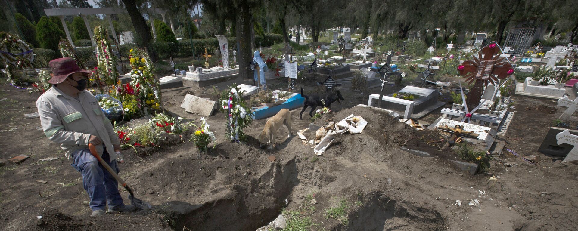 Un trabajador cava tumbas en la sección del COVID-19 del cementerio en las afueras de la Ciudad de México - Sputnik Mundo, 1920, 22.05.2021