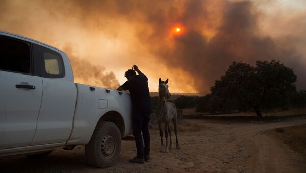 Incendios forestales en Huelva, España  - Sputnik Mundo