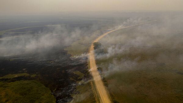 Вид с воздуха на лесной пожар в Бразилии - Sputnik Mundo