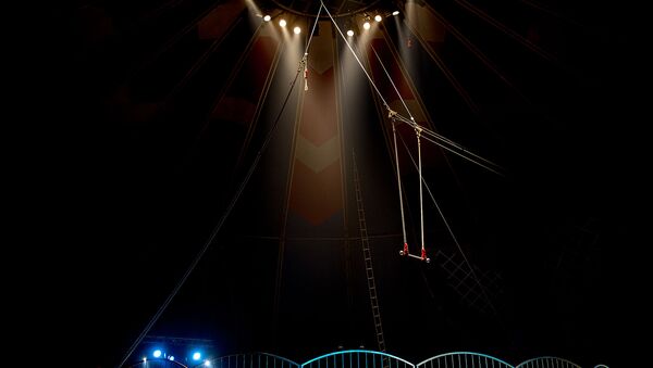Circo (imagen referencial) - Sputnik Mundo