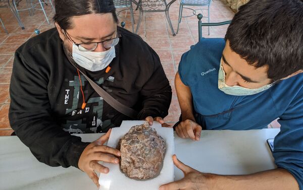 Los paleontólogos Miguel Moreno-Azanza y José Manuel Gasca junto a un huevo de dinosaurio - Sputnik Mundo