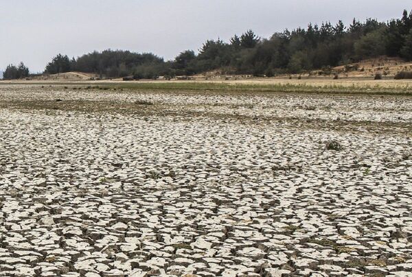 Acuerdo de Escazú: la incoherencia medioambiental de Chile Acuerdo de Escazú: la incoherencia medioambiental de Chile - Sputnik Mundo
