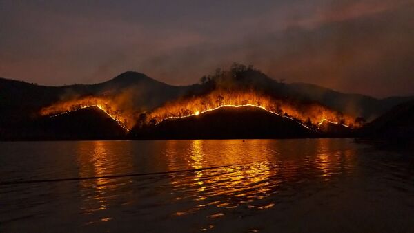 Incendios forestales (imagen referencial) - Sputnik Mundo