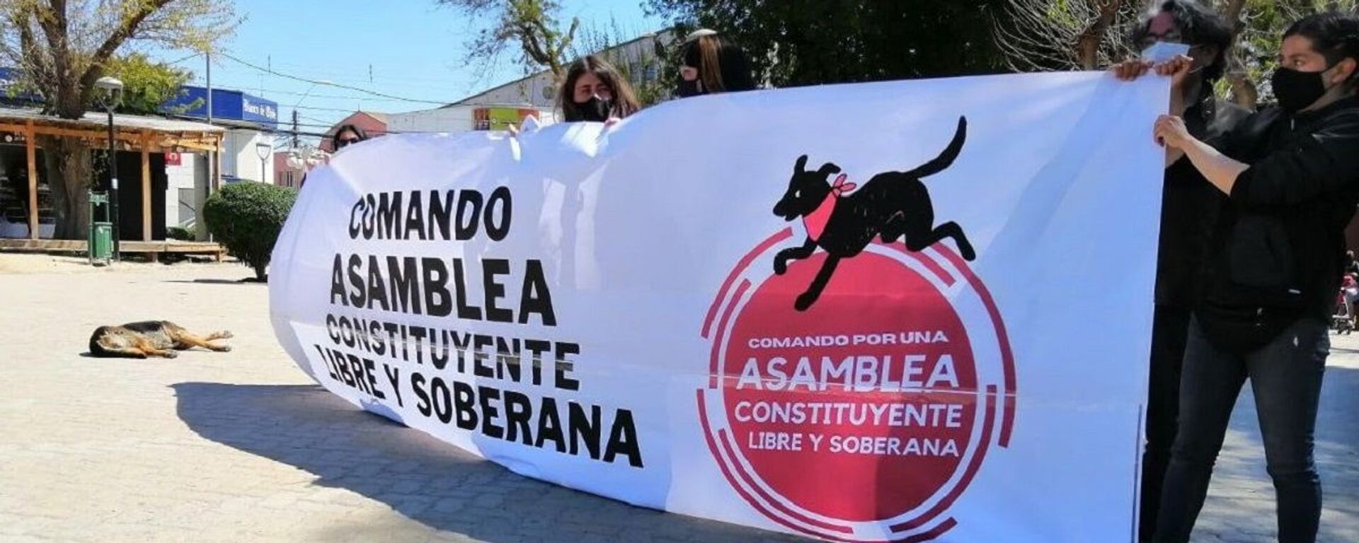 Manifestantes en Chile reclamando una Asamblea Constituyente Libre y Soberana - Sputnik Mundo, 1920, 12.09.2022