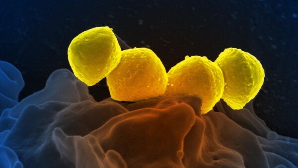 Streptococcus pyogenes - Sputnik Mundo