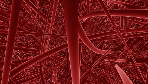 Vasos sanguíneos - Sputnik Mundo