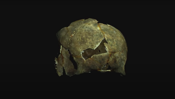 El cráneo que data del III milenio a.C. con rastros de una trepanación que terminó sin éxito fue encontrado en Crimea  - Sputnik Mundo