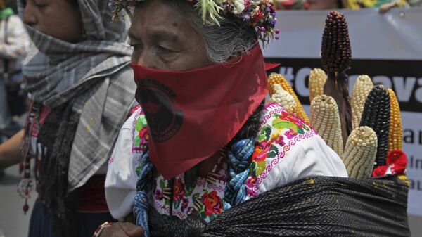 Mujer rural mexicana durante la protesta contra Monsanto - Sputnik Mundo