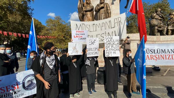 Varios manifestantes se concentran en Estambul para protestar contra Francia y las caricaturas de su profeta Mahoma - Sputnik Mundo