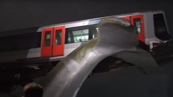 Un tren subterráneo detenido sobre una estatua de una cola de ballena - Sputnik Mundo