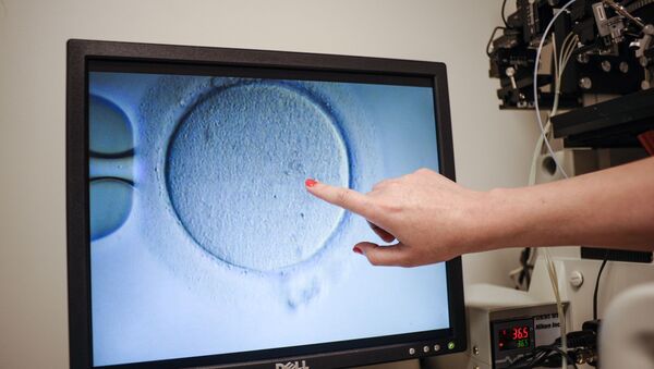 Un ovocito siendo inseminado en una clínica estadounidense - Sputnik Mundo