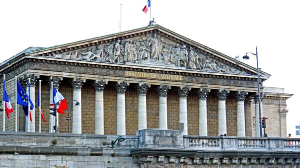 La Asamblea Nacional de Francia - Sputnik Mundo