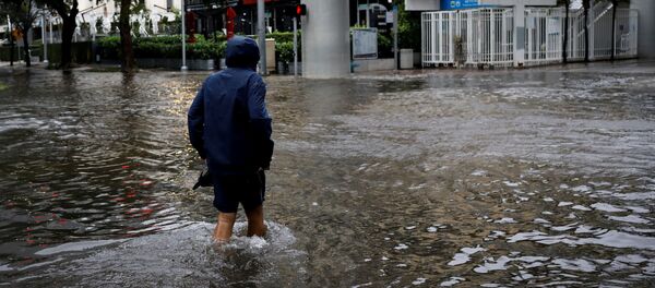 Consecuencias de las lluvias de Eta Consecuencias de las lluvias de Eta - Sputnik Mundo