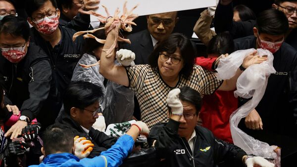 Los parlamentarios taiwaneses tiran intestinos de cerdo - Sputnik Mundo