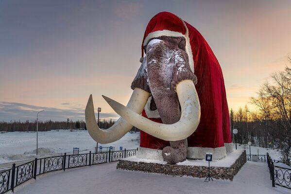 Una estatua de mamut gigante a la entrada de la ciudad rusa de Salejard engalanada con el traje típico de la versión rusa de Papá Noel, el Ded Moroz. - Sputnik Mundo