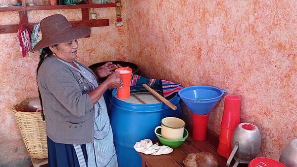 Doña Eulogia Montaño, quien tiene su chichería en Punata, sirve una jarra para sus parroquianos - Sputnik Mundo