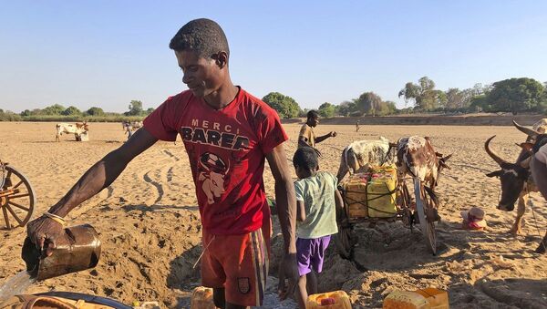 Los hombres cavan en busca de agua en el cauce seco del río Mandrare, en Madagascar - Sputnik Mundo