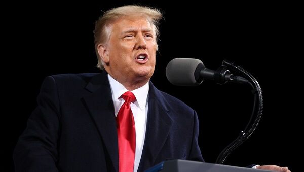 El presidente de EEUU, Donald Trump, durante su discurso ante sus simpatizantes en el estado de Georgia - Sputnik Mundo