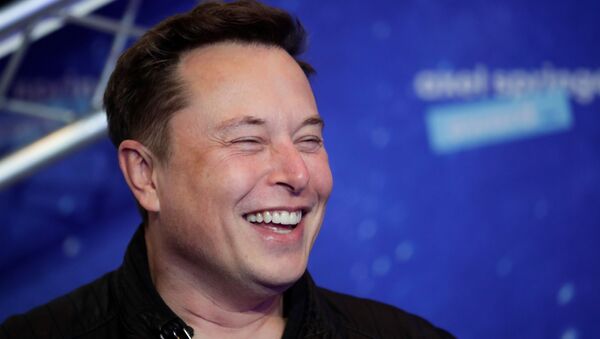Elon Musk, director ejecutivo de SpaceX - Sputnik Mundo