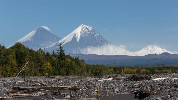 Volcanes rusos: Kliuchevski, Kamen y Bezymianny - Sputnik Mundo