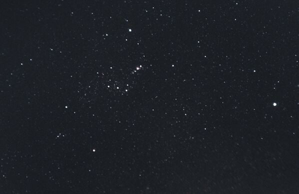Una fotografía de la constelación de Orión tomada desde un teléfono celular - Sputnik Mundo