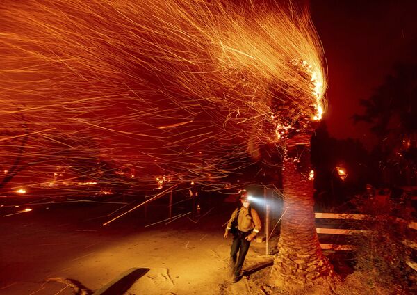 El 2020 fue la mayor temporada de incendios forestales en la historia moderna de California. A fecha del 24 de diciembre de 2020, más de 9.639 incendios quemaron 1.764.234 hectáreas, lo que supone más del 4% del territorio del estado. En la foto: un bombero durante la extinción de un incendio en el condado de Orange en California. - Sputnik Mundo