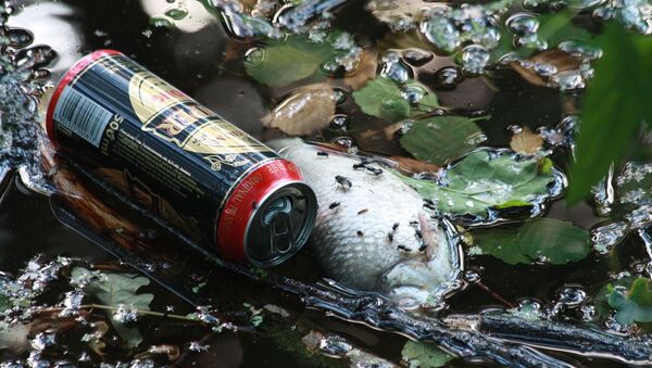 Imagen referencial de un pez muerto por la contaminación - Sputnik Mundo