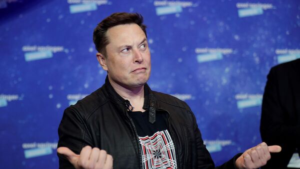 Elon Musk, director general de Tesla - Sputnik Mundo