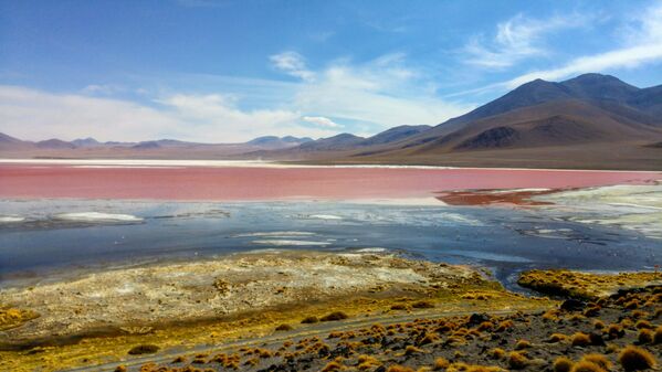 Otro de los primeros humedales incluídos en la lista de Ramsar es Los Lípez, o Laguna Colorada. Un lugar de cría para los flamencos andinos, aves migratorias que se cuentan por miles en las aguas ricas en minerales esparcidas en 60 km² de la Reserva Nacional de Fauna Andina Eduardo Abaroa, en el altiplano potosino de Bolivia. - Sputnik Mundo