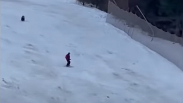 Como si esquiar no fuera peligroso, a este hombre lo persigue un oso - Sputnik Mundo