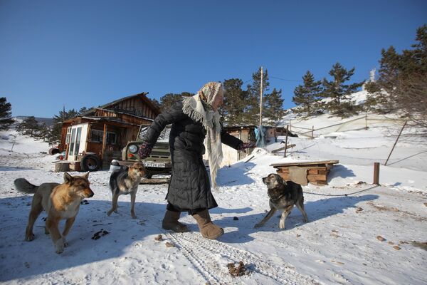 Baba Luba no tiene tiempo para aburrirse: la granja, cuya parte principal es el ganado, requiere mucho tiempo y esfuerzo. En la foto: Lubov Morejódova fuera de su casa en la orilla del lago Baikal - Sputnik Mundo