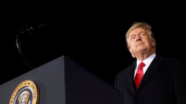 Donald Trump, expresidente de EEUU - Sputnik Mundo