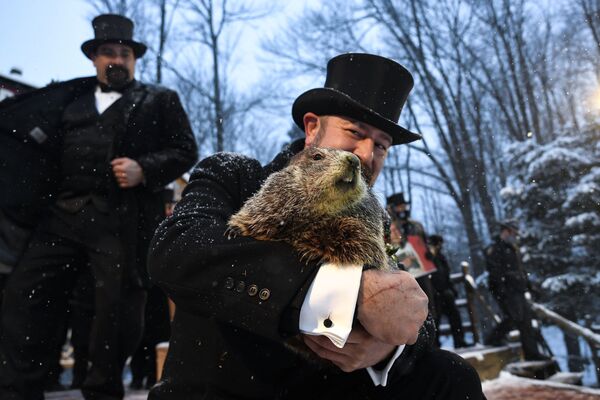Un hombre sostiene a la marmota Punxsutawney Phil en las celebraciones del Día de la Marmota en la ciudad de Punxsutawney, Pensilvania (Estados Unidos), el 2 de febrero. - Sputnik Mundo
