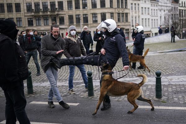 Un oficial de policía patea a un manifestante durante una protesta no autorizada contra las medidas restrictivas impuestas para detener la pandemia de COVID-19 en Bruselas (Bélgica), el 31 de enero. - Sputnik Mundo